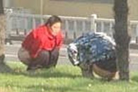 重口味：上海长寿路两人面对面拉翔 我勒个擦 求人肉 男的还是女的?