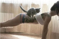 喵星人真乖 帮助主银锻炼身体 总算没白养