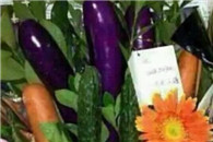 就想问问各位大神，我老公送我这个是想表达什么?