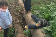 搞笑图片房东吊爆了 中国妹子的形容词就是不一样