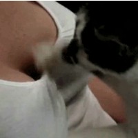 美女动态图：白白色发布另类gif你懂的，好色的喵星人！