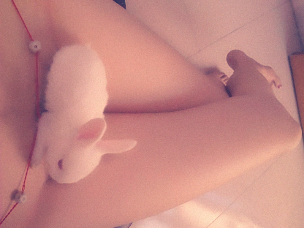 养眼图片：性感美腿白兔子 看着好想撸！.jpg