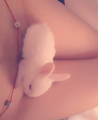 养眼图片：性感美腿白兔子 看着好想撸！