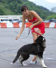 狗狗你咋这么色呢？你让美女情何以堪啊？