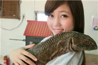 传说中的美女与野兽 一起邪恶吧！