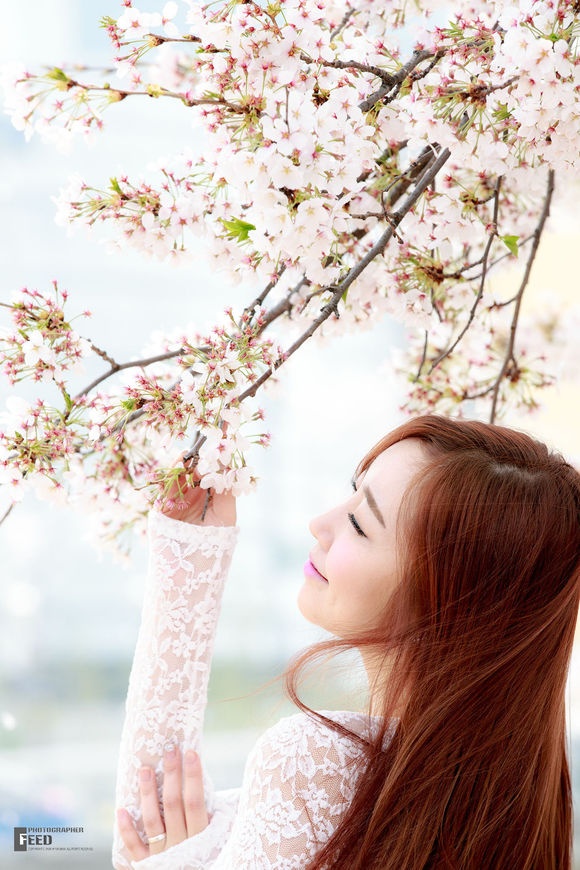 韩国美女金多蕴烂漫樱花下性感妖娆美拍图