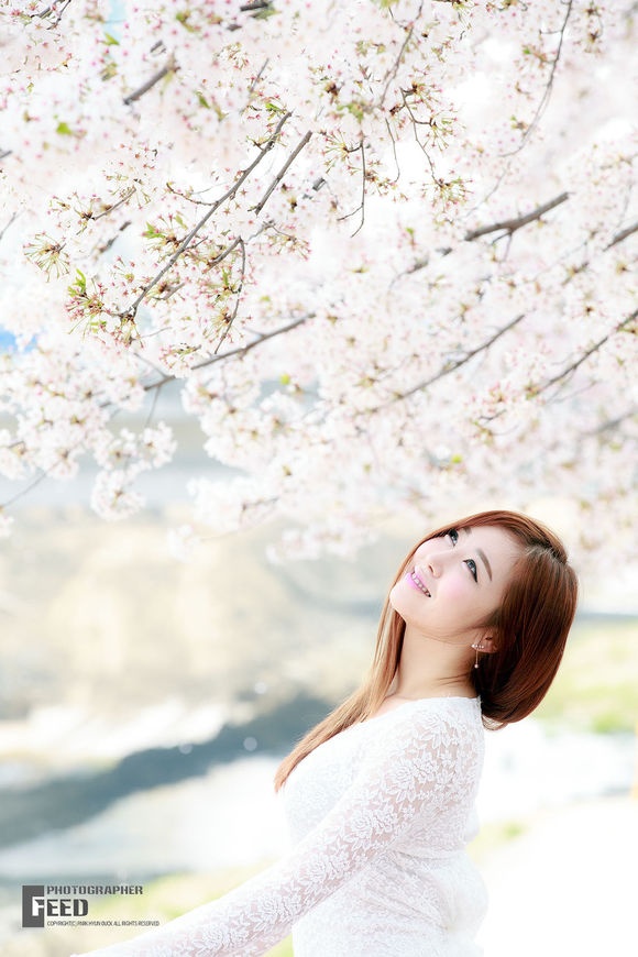 韩国美女金多蕴烂漫樱花下性感妖娆美拍图