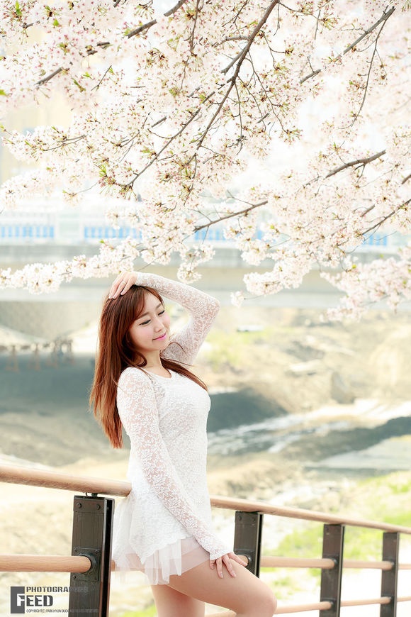 韩国美女金多蕴烂漫樱花下性感妖娆美拍图