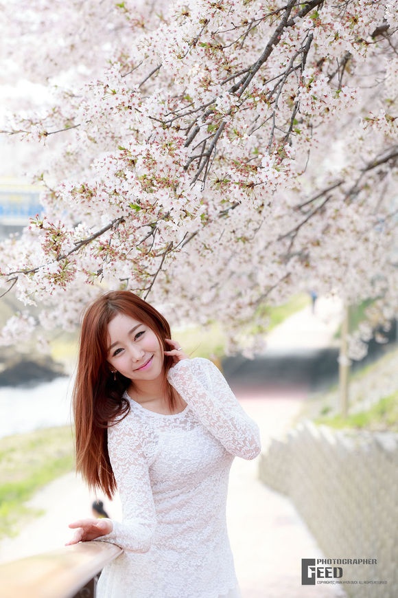 韩国美女金多蕴烂漫樱花下性感妖娆美拍图