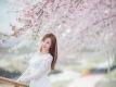 韩国美女金多蕴烂漫樱花下性感妖娆美拍图