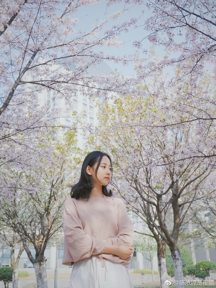 小清新美女郑晴笑容甜美樱花树下图片