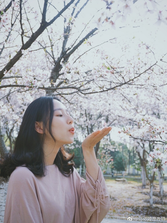 小清新美女郑晴笑容甜美樱花树下图片
